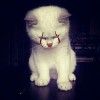 timthumb.jfif