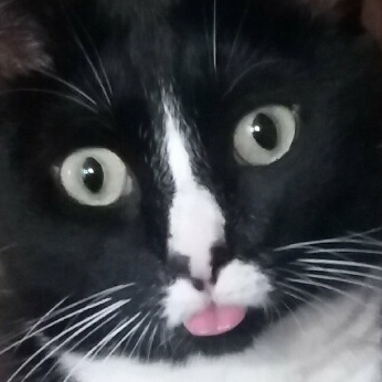 george.png