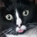 george.png