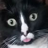 george.png