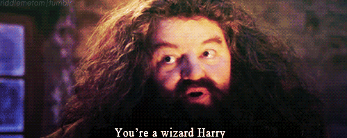 wizardO.gif