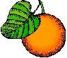citrusoft.png