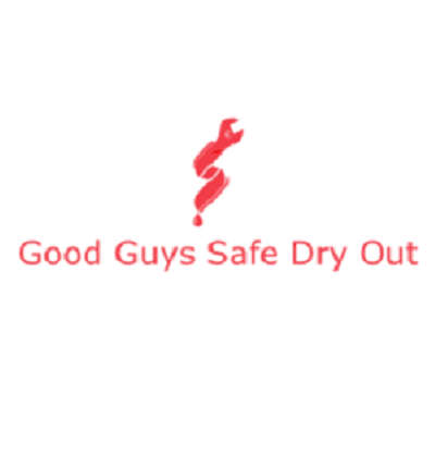 safelogo2--276x149.png