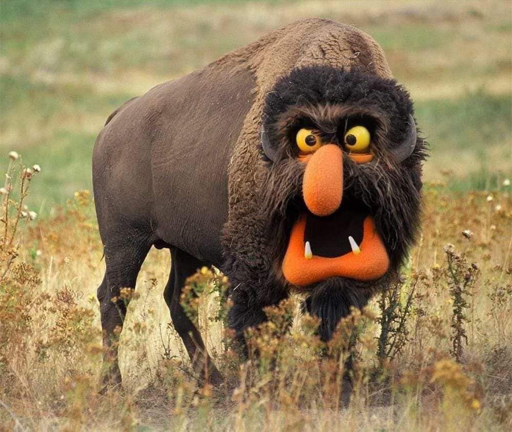 Mupet.jpg