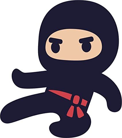 ninja.jpg