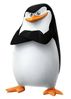 Pinguin.jpg