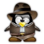 28b4f2cfdcaf6a14f5f4622b36d1c185--cowboy-outfits-penguin-art.jpg