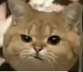 Screenshot 2020-11-10 114934.png
