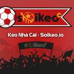 Profile (tilekeosoikeoio)