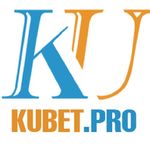 Profile (kubetdotpro)