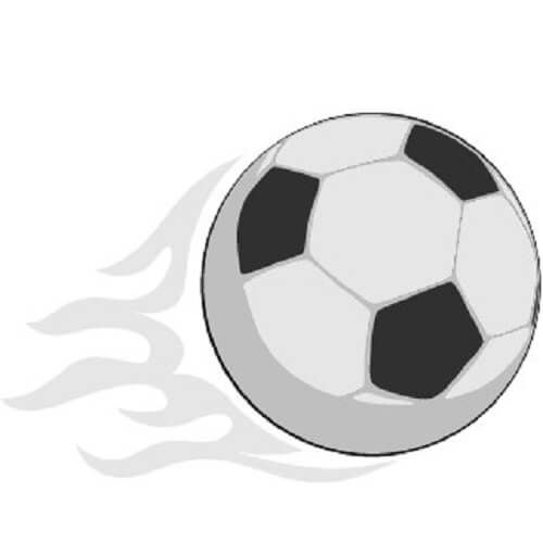 a logo  fantasyvnnet.jpg