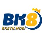 Profile (bk8vnmobi)