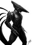 Profile (TyronF)