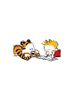 calvin-and-hobbes-reading-book-rangga-aitim.jpg