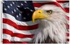 USA Flag.jpg
