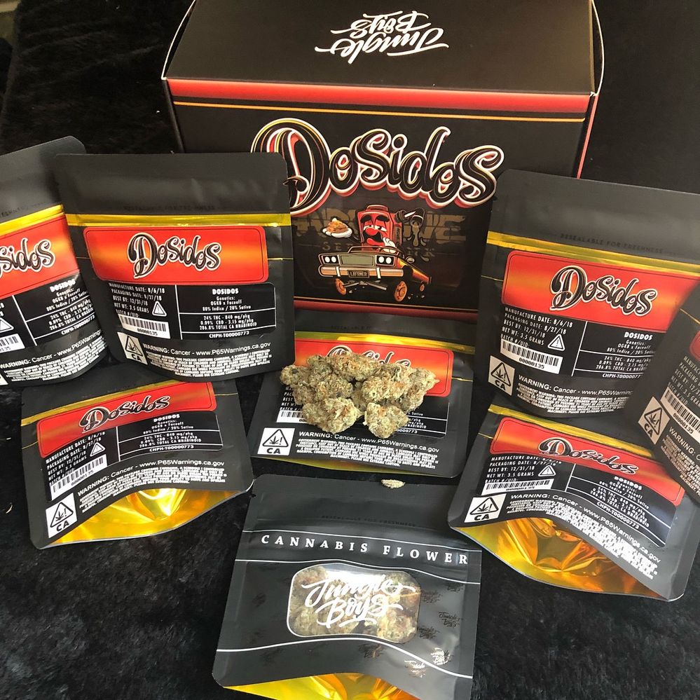 Jungle Boys for sale,Jungle Boys for sale online,Buy Jungle Boys online, Buy Jungle Boys weed online,buy Jungle Boys cali weed,Jungle Boys marijuana for sale,Jungle Boys weed,order Jungle Boys online,Jungle Boys strains,the best Jungle Boys,TLC Collective Jungle Boys,Jungle Boys Cannabis,Jungle Boys Cannabis uk,cali weed Jungle Boys for sale,Topanga Canyon OG Jungle Boys Jungle Boys for sale in New York, buy Jungle Boys weed online in New York,buy Jungle Boys cali weed New York ,Jungle Boys marijuana for sale New York ,Jungle Boys weed New York ,order Jungle Boys online in New York,Jungle Boys strains New York ,the best Jungle Boys,TLC Collective Jungle Boys,Jungle Boys Cannabis,Jungle Boys Cannabis uk,cali weed Jungle Boys for sale,Topanga Canyon OG Jungle Boys.  http://jungleboysweedofficial.com/   Contact us:  Website: https://jungleboysweedofficial.com  Phone : +1 9093152186  WhatsApp: +1 909-315-2186  Wicker:caliweedshop4  Email: Salecaliweedshop@gmail.com