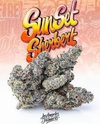 Jungle Boys for sale,Jungle Boys for sale online,Buy Jungle Boys online, Buy Jungle Boys weed online,buy Jungle Boys cali weed,Jungle Boys marijuana for sale,Jungle Boys weed,order Jungle Boys online,Jungle Boys strains,the best Jungle Boys,TLC Collective Jungle Boys,Jungle Boys Cannabis,Jungle Boys Cannabis uk,cali weed Jungle Boys for sale,Topanga Canyon OG Jungle Boys Jungle Boys for sale in New York, buy Jungle Boys weed online in New York,buy Jungle Boys cali weed New York ,Jungle Boys marijuana for sale New York ,Jungle Boys weed New York ,order Jungle Boys online in New York,Jungle Boys strains New York ,the best Jungle Boys,TLC Collective Jungle Boys,Jungle Boys Cannabis,Jungle Boys Cannabis uk,cali weed Jungle Boys for sale,Topanga Canyon OG Jungle Boys.  http://jungleboysweedofficial.com/   Contact us:  Website: https://jungleboysweedofficial.com  Phone : +1 9093152186  WhatsApp: +1 909-315-2186  Wicker:caliweedshop4  Email: Salecaliweedshop@gmail.com