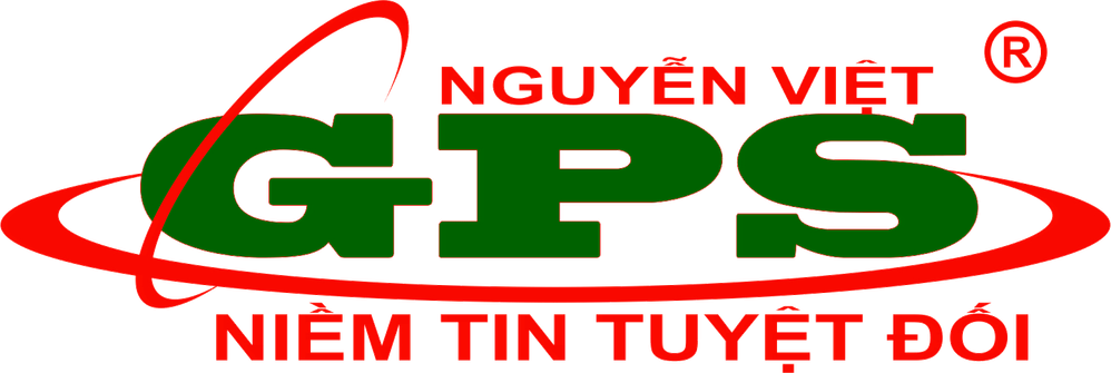 dinhvinguyenvietlogo-min.png