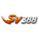 Profile (DAGASV388ORG)