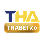 thabet S.png
