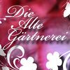 200.jpg