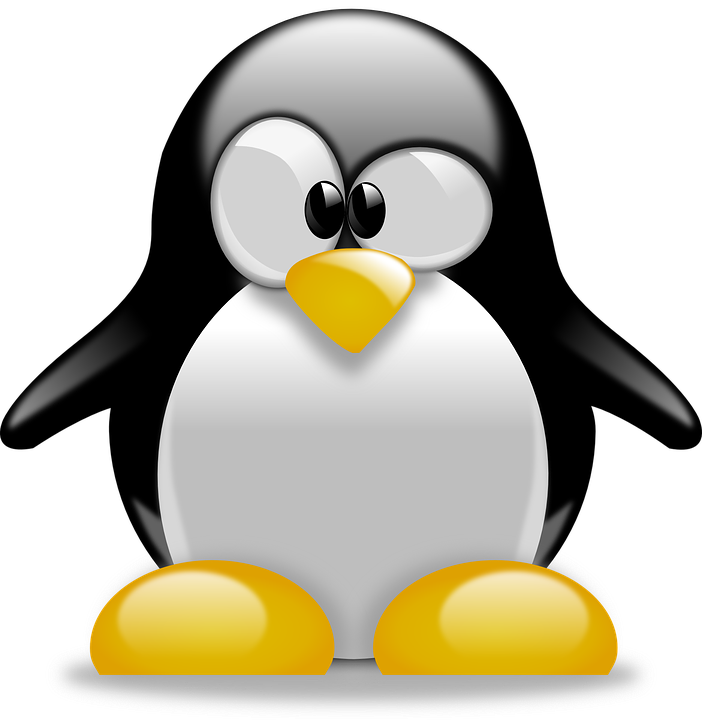 pinguin.png