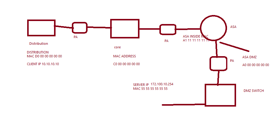 pa topology.png