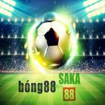 Profile (BONG88SAKA88)