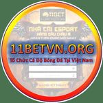 Profile (11betvnorg)