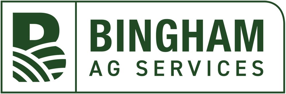 Bingham-horizontal-green.jpg