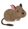 degu-.PNG