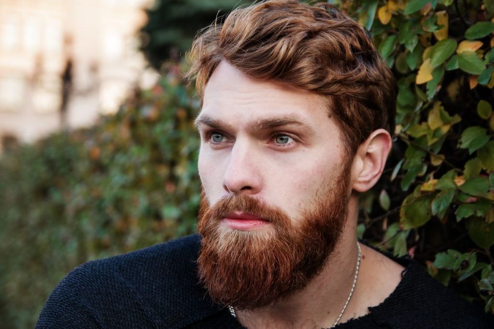 adult-attractive-beard-247885-1024x683.jpg