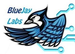 BlueJayProfile.jpg