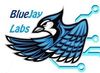 BlueJayProfile.jpg