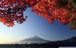 autumn_mount_fuji_japan-wallpaper-960x600.jpg