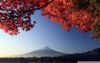 autumn_mount_fuji_japan-wallpaper-960x600.jpg