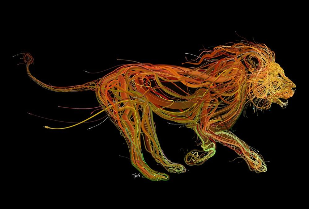 Lion_big.jpeg