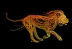Lion_big.jpeg