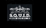 SQIUD4.png