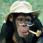 MonkeyPipe.jpg