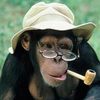 MonkeyPipe.jpg