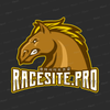 racesiteprof.png
