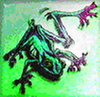 Frog.jpg