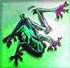 Frog.jpg