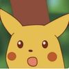 pika.jpg
