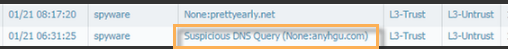 Detail of Threat log with Suspicious DNS Query.