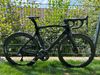 Pinarello01.jpg