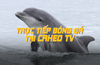 caheotv-trang-xem-bong-da-truc-tuyen-mien-phi-nh-1-1024x666 (1).png