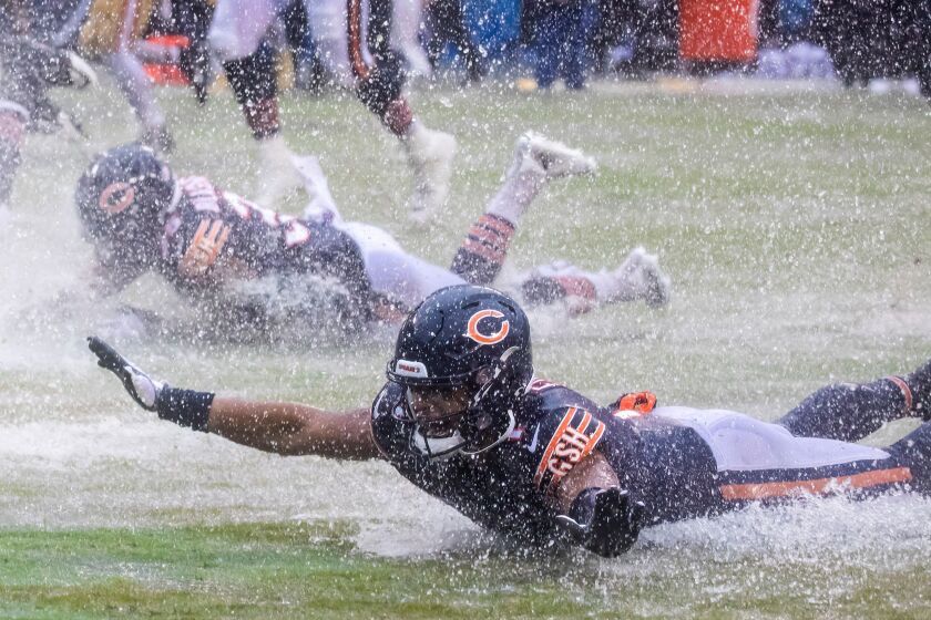 bears-slide1.jfif