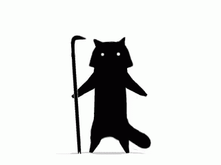 ninja-raccoon.gif